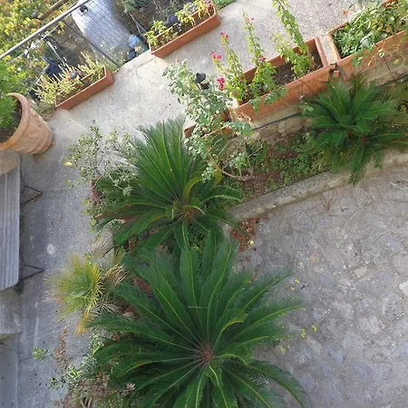 Raggio Di Sole Furore